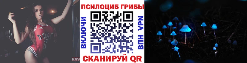 Галлюциногенные грибы Psilocybine cubensis  кракен ССЫЛКА  Черепаново  цена  